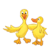 Two Yellow Ducks one with arm around another
