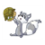 Gray Raccoon Color PDF