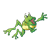 Jumping Frog Color PNG