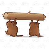 Two Brown Beavers