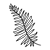 Fern Frond Line PNG