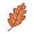 Oak Leaf Color PDF