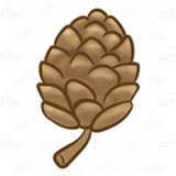 Brown Pinecone