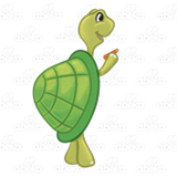 Turtle Standing