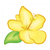 Yellow Hibiscus Flower Color PDF