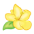 Yellow Hibiscus Flower Color PNG