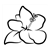 Yellow Hibiscus Flower Line PDF
