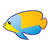 Tropical Fish Color PDF