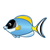 Tropical Fish Color PNG