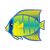Tropical Fish Color PNG