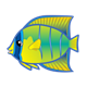 Tropical Fish green and yellow with blue stripes