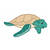 Sea Turtle Color PDF