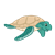 Sea Turtle Color PNG