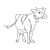 Brown Cow Line PNG