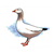 White Goose Color PDF