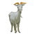 Horned Billy Goat Color PDF