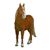 Dark Brown Horse Color PDF