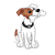 White Spotted Dog Color PNG