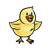 Happy Yellow Chick Color PNG