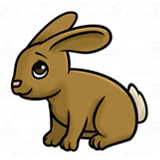 Brown Rabbit