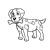 Spotted Dog Line PNG