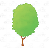 Green Bushy Tree