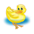 Yellow Duck Color PNG