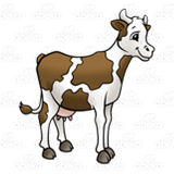 Brown and White Cow