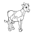 Brown and White Cow Line PNG