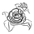 Two Red Roses Line PNG