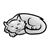 Gray Cat Color PDF