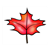 Red Maple Leaf Color PDF