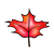 Red Maple Leaf Color PNG