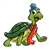 Turtle Color PDF