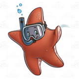 Red Snorkeling Starfish