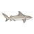 Gray Shark Color PDF