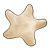 Cream Starfish Color PNG