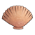 Peach Clamshell Color PNG