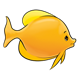 Orange Fish with large tail
