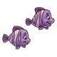 Two Purple Fish 