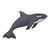 Orca Color PDF