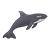 Orca Color PNG