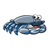 Blue Crab Color PDF
