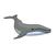 Gray Whale Color PDF