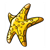 Yellow Starfish Color PDF