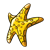 Yellow Starfish Color PNG