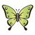 Green Butterfly Color PDF