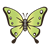 Green Butterfly Color PNG
