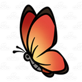 Red-Orange Butterfly