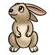 Standing Brown Bunny with long ears